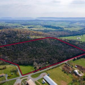 Photo #9 of 0 - TBD WENGERS MILL RD, LINVILLE, VA 20.0 acres