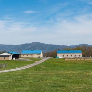 Photo #62 of 309 OLD B AND O RD, STEELES TAVERN, VA 61.1 acres
