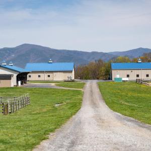 Photo #1 of 309 OLD B AND O RD, STEELES TAVERN, VA 61.1 acres