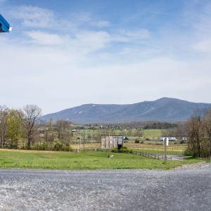 Photo #70 of 309 OLD B AND O RD, STEELES TAVERN, VA 61.1 acres