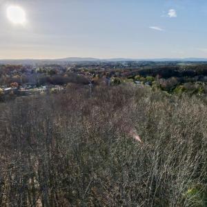 Photo #3 of TBD CALF MOUNTAIN RD, WAYNESBORO, VA 9.8 acres