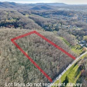 Photo #4 of TBD CALF MOUNTAIN RD, WAYNESBORO, VA 9.8 acres