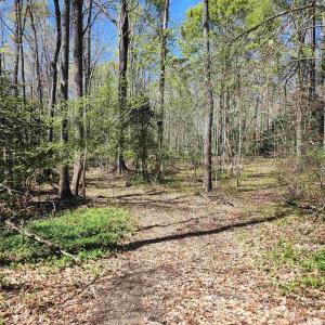 Photo #4 of Lot 15B BENT CREEK LN, BUMPASS, VA 28.0 acres