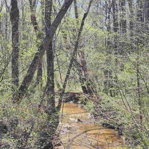 Photo #3 of Lot 15B BENT CREEK LN, BUMPASS, VA 28.0 acres