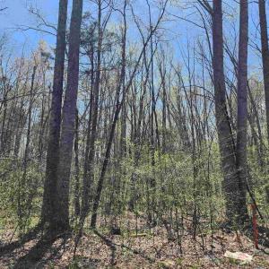 Photo #6 of Lot 15B BENT CREEK LN, BUMPASS, VA 28.0 acres