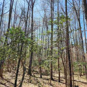 Photo #5 of Lot 15B BENT CREEK LN, BUMPASS, VA 28.0 acres