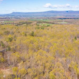 Photo #8 of TBD DOVE LANDING DR, ELKTON, VA 5.0 acres