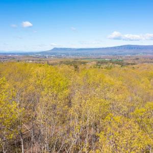 Photo #4 of TBD DOVE LANDING DR, ELKTON, VA 5.0 acres