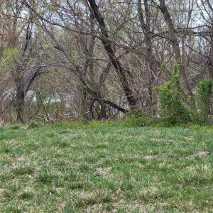 Photo #3 of TBD MORRISON RD, SHENANDOAH, VA 0.3 acres