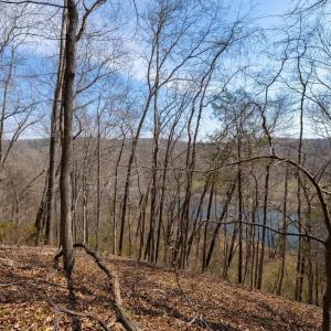 Photo #6 of 1280 JONES OVERLOOK, HOWARDSVILLE, VA 5.0 acres