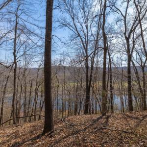 Photo #9 of 1280 JONES OVERLOOK, HOWARDSVILLE, VA 5.0 acres