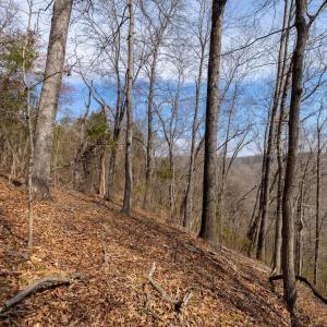 Photo #7 of 1280 JONES OVERLOOK, HOWARDSVILLE, VA 5.0 acres