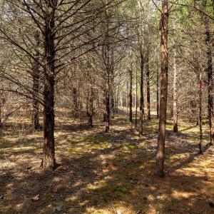 Photo #3 of 1280 JONES OVERLOOK, HOWARDSVILLE, VA 5.0 acres