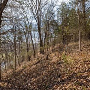 Photo #4 of 1280 JONES OVERLOOK, HOWARDSVILLE, VA 5.0 acres