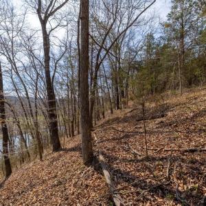 Photo #8 of 1280 JONES OVERLOOK, HOWARDSVILLE, VA 5.0 acres