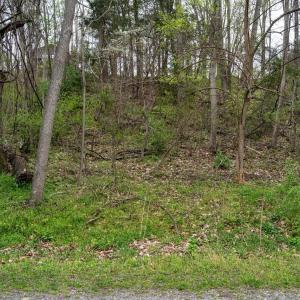 Photo #17 of TBD RIVER VIEW RD, SHENANDOAH, VA 1.0 acres