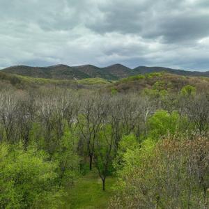 Photo #30 of TBD RIVER VIEW RD, SHENANDOAH, VA 1.0 acres