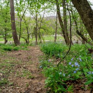 Photo #21 of TBD RIVER VIEW RD, SHENANDOAH, VA 1.0 acres