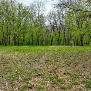 Photo #29 of TBD RIVER VIEW RD, SHENANDOAH, VA 1.0 acres
