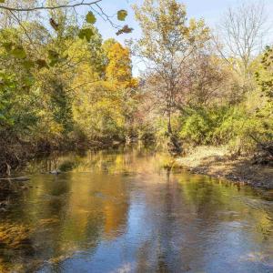 Photo #9 of Lot 3 ROCKFISH VALLEY HWY, AFTON, VA 4.2 acres