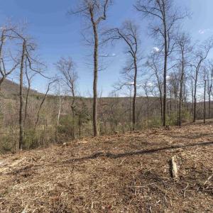 Photo #8 of Lot 3 ROCKFISH VALLEY HWY, AFTON, VA 4.2 acres