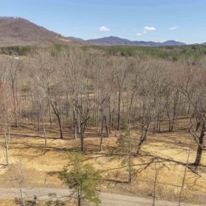 Photo #1 of Lot 3 ROCKFISH VALLEY HWY, AFTON, VA 4.2 acres