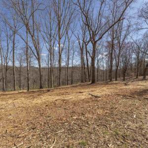 Photo #3 of Lot 3 ROCKFISH VALLEY HWY, AFTON, VA 4.2 acres