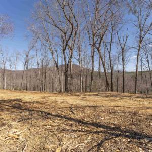 Photo #2 of Lot 3 ROCKFISH VALLEY HWY, AFTON, VA 4.2 acres