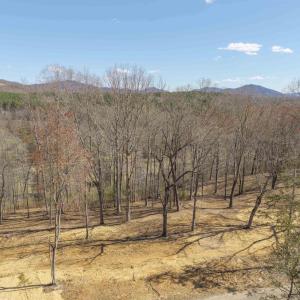Photo #4 of Lot 3 ROCKFISH VALLEY HWY, AFTON, VA 4.2 acres