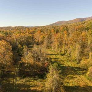 Photo #12 of Lot 3 ROCKFISH VALLEY HWY, AFTON, VA 4.2 acres