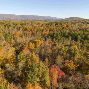 Photo #10 of Lot 3 ROCKFISH VALLEY HWY, AFTON, VA 4.2 acres