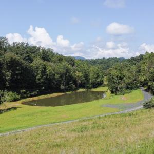 Photo #12 of WILLOW BRANCH LN, FABER, VA 17.3 acres