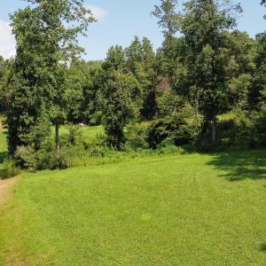 Photo #13 of WILLOW BRANCH LN, FABER, VA 17.3 acres