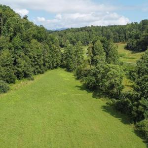 Photo #3 of WILLOW BRANCH LN, FABER, VA 17.3 acres