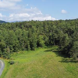 Photo #5 of WILLOW BRANCH LN, FABER, VA 17.3 acres