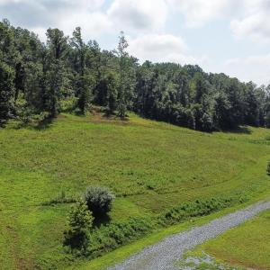 Photo #9 of WILLOW BRANCH LN, FABER, VA 17.3 acres