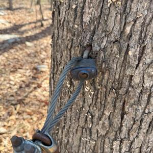 Photo #16 of TBD SHOTGUN SPRING RD, NEW MARKET, VA 5.0 acres
