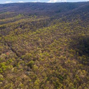 Photo #12 of TBD SHOTGUN SPRING RD, NEW MARKET, VA 5.0 acres
