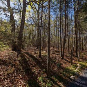 Photo #1 of TBD SHOTGUN SPRING RD, NEW MARKET, VA 5.0 acres