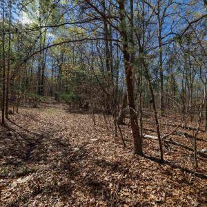 Photo #3 of TBD SHOTGUN SPRING RD, NEW MARKET, VA 5.0 acres