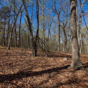 Photo #4 of TBD SHOTGUN SPRING RD, NEW MARKET, VA 5.0 acres