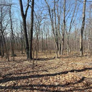 Photo #26 of TBD SHOTGUN SPRING RD, NEW MARKET, VA 5.0 acres