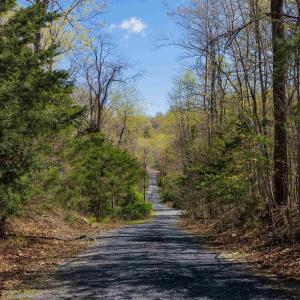 Photo #2 of TBD SHOTGUN SPRING RD, NEW MARKET, VA 5.0 acres