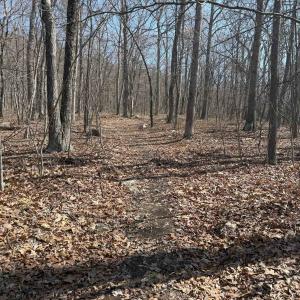 Photo #24 of TBD SHOTGUN SPRING RD, NEW MARKET, VA 5.0 acres