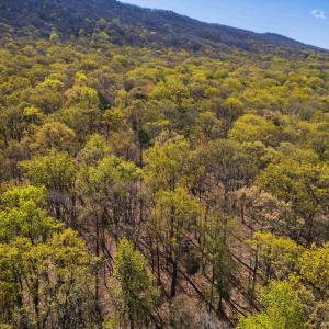 Photo #10 of TBD SHOTGUN SPRING RD, NEW MARKET, VA 5.0 acres