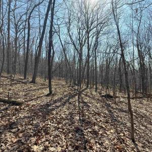 Photo #25 of TBD SHOTGUN SPRING RD, NEW MARKET, VA 5.0 acres