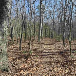 Photo #19 of TBD SHOTGUN SPRING RD, NEW MARKET, VA 5.0 acres