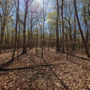 Photo #5 of TBD SHOTGUN SPRING RD, NEW MARKET, VA 5.0 acres