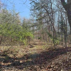 Photo #15 of TBD SHOTGUN SPRING RD, NEW MARKET, VA 5.0 acres