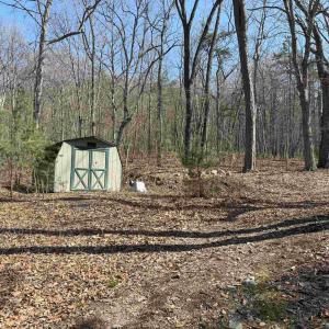 Photo #21 of TBD SHOTGUN SPRING RD, NEW MARKET, VA 5.0 acres